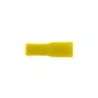 Cosses cylindriques femelle jaune