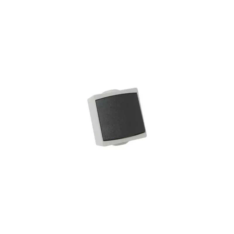 Bouton poussoir 10A 250V