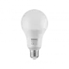 Ampoule A80 SMD verre E27