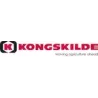 KONGSKILDE